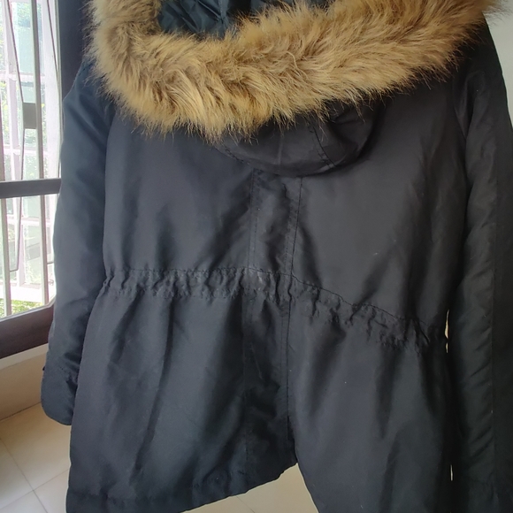 Dorothy Perkins Navy Jacket - Picture 4 of 4